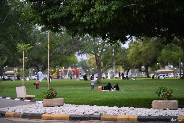 أمانة نجران تزرع 1000 شجرة سدر وطلح ضمن حملة موسم التشجير للعام الحالي