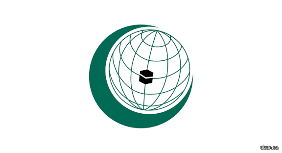 منظمة التعاون الإسلامي: إسرائيل تقترف 3 مجازر في غزة في 7 أيام والحصيلة 88 شهيدًا