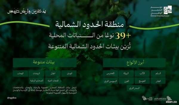 البرنامج الوطني للتشجير: بيئات الحدود الشمالية تزدهر بانتشار39 نوعًا من النباتات المحلية الملائمة للتشجير