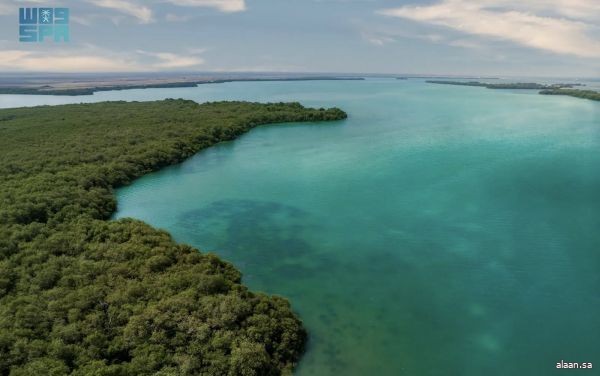 بوصفها أول محمية بحرية سعودية.. إدراج جزر فرسان في اتفاقية "رامسار"