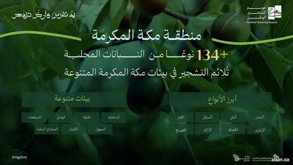 البرنامج الوطني للتشجير تنوع بيئي يُسهم في انتشار (134) نوعًا من النباتات المحلية في مكة المكرمة