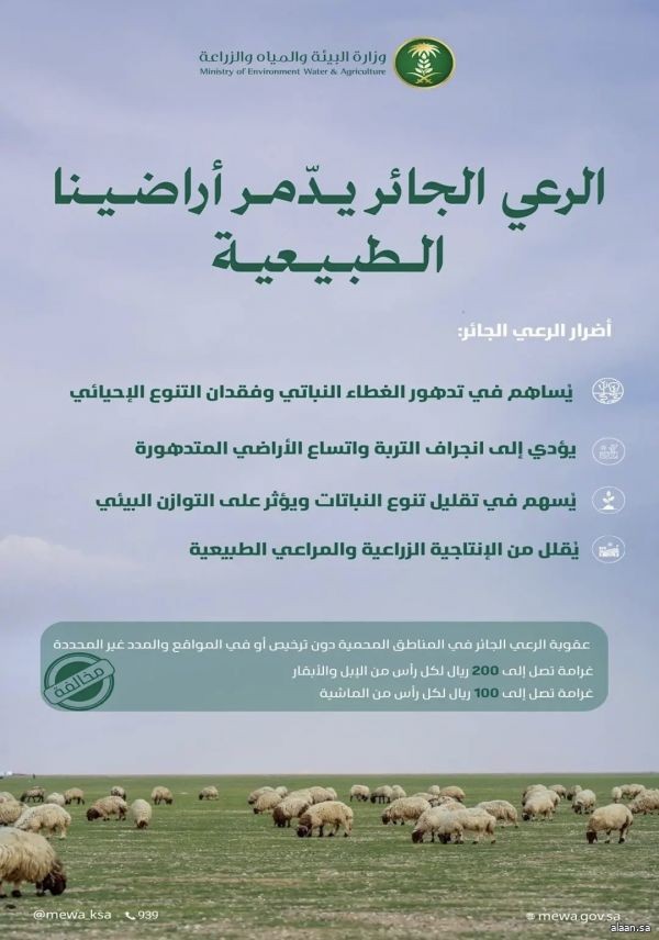 "البيئة" : الحد من الرعي الجائر لحماية الغطاء النباتي في المملكة