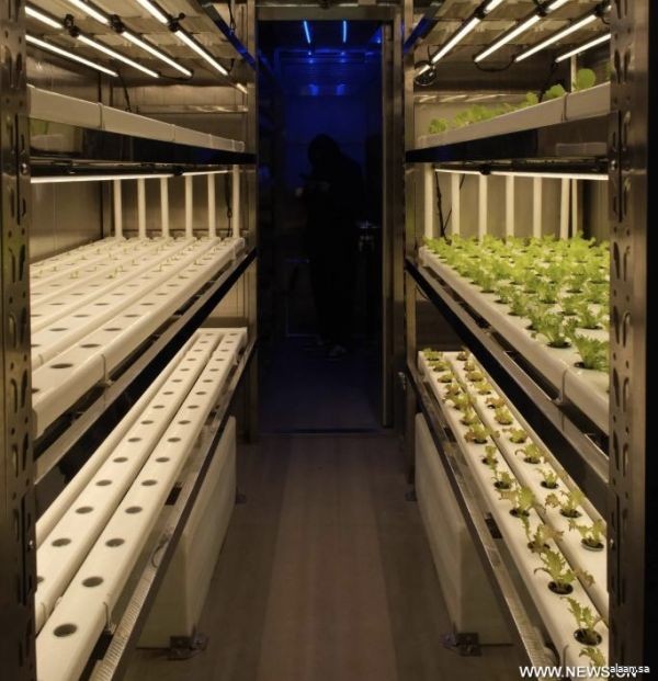 الصين .. مزرعة ذكية مصممة للاستخدام على متن السفن