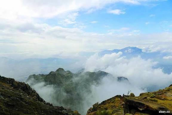 الطائف تستعيد حضورها الطبيعي.. الضباب يُعانق الجبال الشاهقة في الصباح الباكر