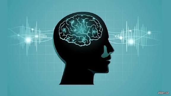 المخ يغيّر وصلاته العصبية 5 مرات خلال عمر الإنسان