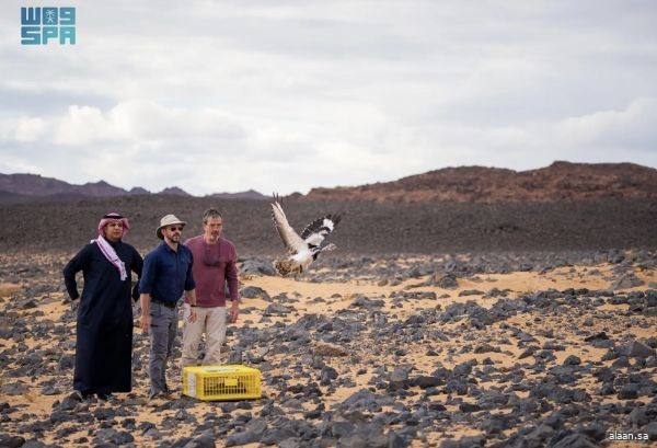 مركز الحياة الفطرية يطلق 35 كائنًا فطريًّا بمحمية الأمير محمد بن سلمان الملكية