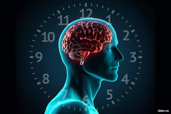 الساعة البيولوجية تُنظِّم دورات النوم والاستيقاظ