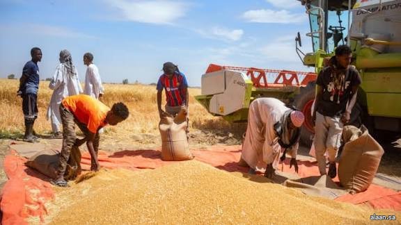 بدءًا من الشهر المقبل .. "الأغذية العالمي" يخفض حصص الطعام عن السودان بسبب نقص التمويل