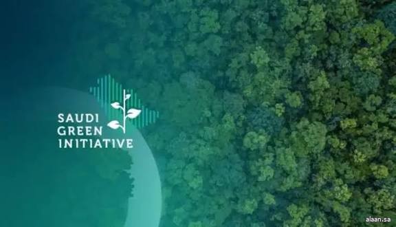 البرنامج الوطني للتشجير: انتشار واسع لأكثر من (61) نوعًا من النباتات المحلية في بيئات الشرقية