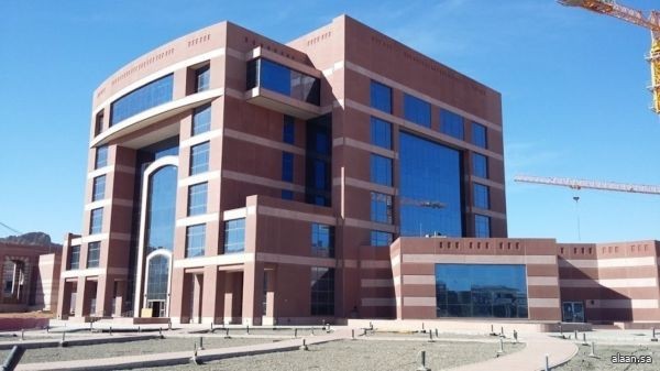 ضمن مخرجاتها البحثية .. جامعة طيبة تسجّل نموذجًا صناعيًا محميًا يساعد على التشخيص الطبي