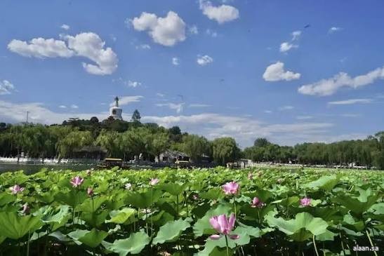 بكين .. عدد الحدائق يبلغ 1136 تستقبل أكثر من 500 مليون زائر سنويًا