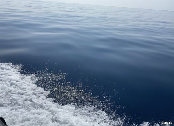 انطلاق مبادرة "بحرنا مسؤوليتنا" لتنظيف أعماق البحر الأحمر في جدة