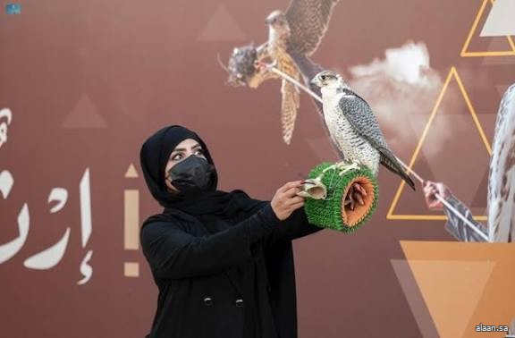حضور لافت للصقارات السعوديات بمهرجان الملك عبدالعزيز للصقور 2025