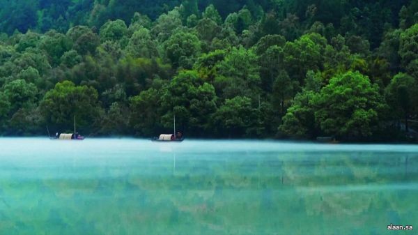 الصين تحقق إنجازات في حفظ موارد البلازما الجرثومية للغابات والمراعي