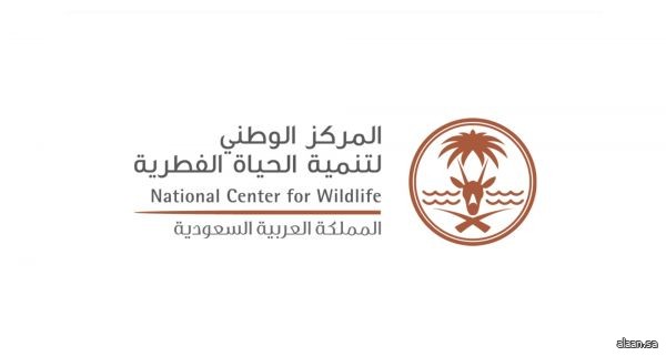 "مركز الحياة الفطرية" يطلق 124 كائنًا فطريًا مهددًا بالانقراض في محمية الإمام تركي بن عبدالله الملكية