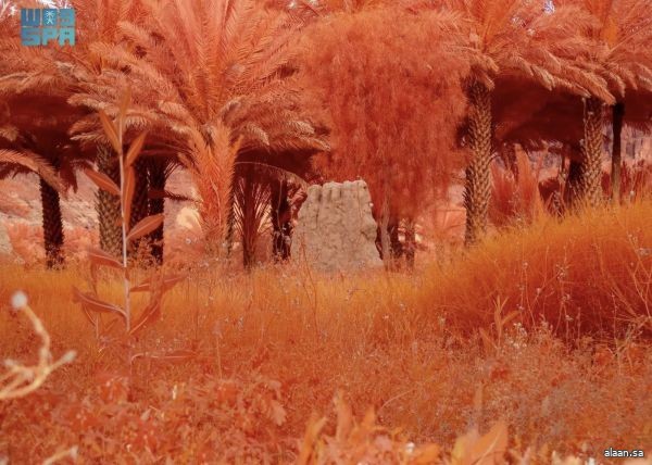 متحف الفن المعاصر في العُلا ومركز بومبيدو يعلنان عن معرض "أرضُنا" فبراير المقبل