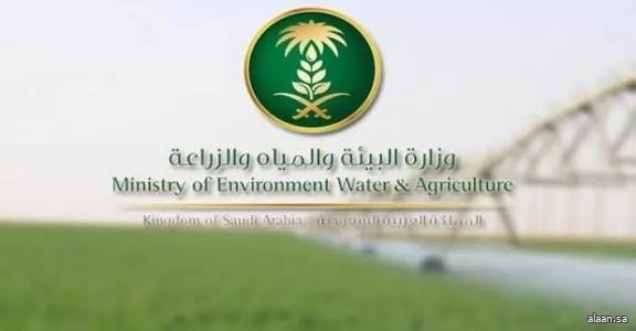 "بيئة الرياض" تضبط أكثر من 4 أطنان من الدواجن مجهولة المصدر