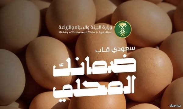 82% من إنتاج المملكة لبيض المائدة معتمد بشهادة "سعودي قاب" وإنتاج سنوي يتجاوز 8.4 مليارات بيضة