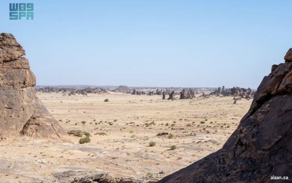 الهيئة الملكية لمحافظة العُلا تعلن عن اكتشاف علمي لأحافير نادرة تعود إلى 465 مليون سنة