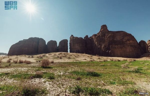 حظر أنشطة القيادة المضرة بأراضي الغطاء النباتي في العلا
