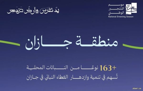 البرنامج الوطني للتشجير: انتشار أكثر من 163 نوعًا من النباتات المحلية في بيئات جازان يُعزّز جهود التشجير بالمنطقة