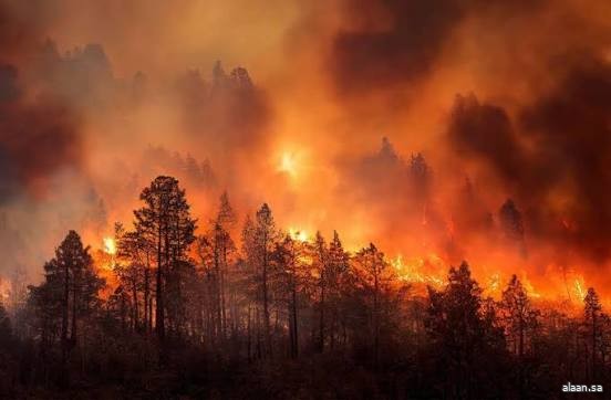 مقتل 20 شخصًا في حرائق تشيلي وتجدُّد النيران يعقّد مهمة عناصر الإنقاذ