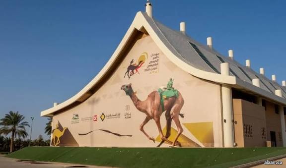 أكثر من 125 ساعة بث مباشر لمهرجان خادم الحرمين الشريفين للهجن 2026