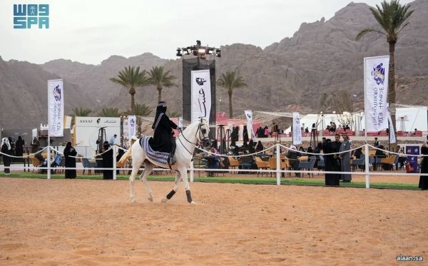 تجربة "الخيل والهيل" لزوار فعاليات "رالي حائل تويوتا الدولي 2026"