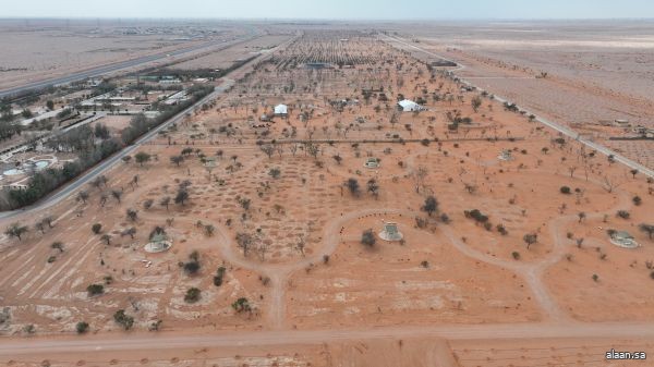 "مركز الغطاء النباتي" يطرح 100 فرصة استثمارية لتعزيز الاستدامة البيئية في 11 منطقة