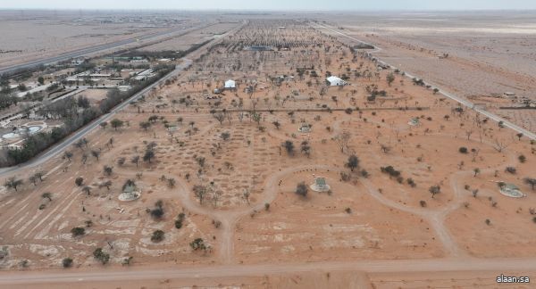 "مركز الغطاء النباتي" يطرح 100 فرصة استثمارية لتعزيز الاستدامة البيئية في 11 منطقة