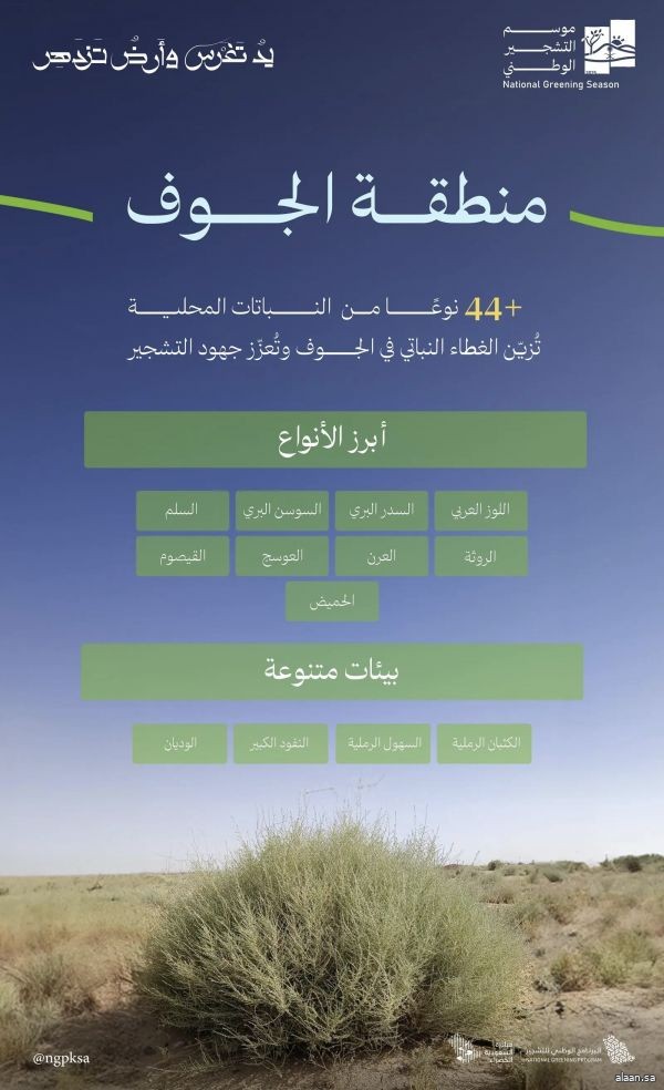 البرنامج الوطني للتشجير: اللوز والسدر والعرن والسوسن أبرز أنواع النباتات المحلية الملائمة للتشجير في منطقة الجوف