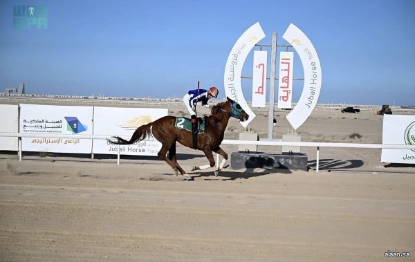 ميدان فروسية الجبيل يقيم سباقه الثامن للموسم الحالي 1447هـ