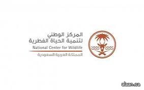 "الحياة الفطرية" يُعلن انتهاء موسم الصيد 2025-2026