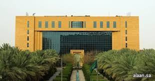 نقلات تنظيمية وتمكينية نوعية في ملف الباعة الجائلين خلال 2025