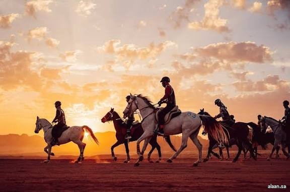 العُلا .. انطلاق منافسات بطولة "قرية المعتدل للقدرة والتحمّل 2026"