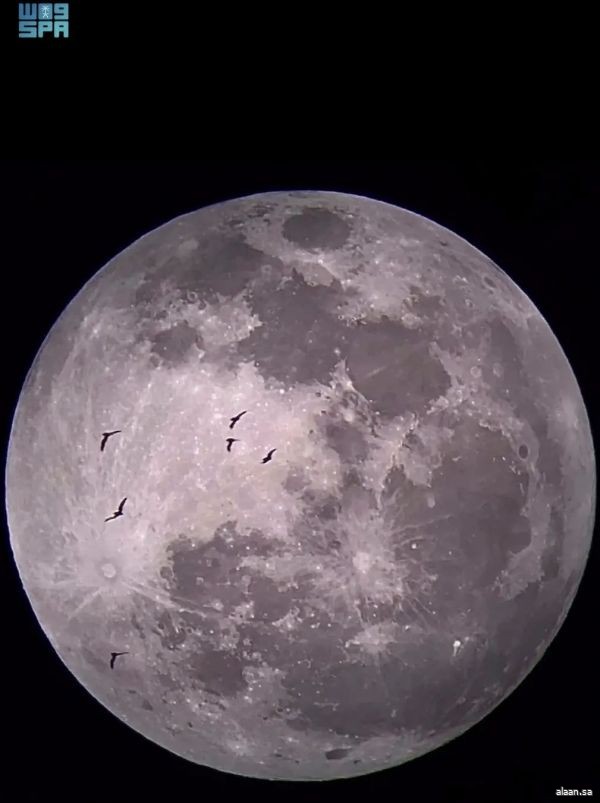 سماء "محمية الإمام تركي بن عبدالله الملكية" تحتضن 7 مشاهد فلكية خلال فبراير 2026