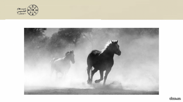 الفروسية في الدولة السعودية الأولى جزءٌ من الهوية الاجتماعية والثقافية