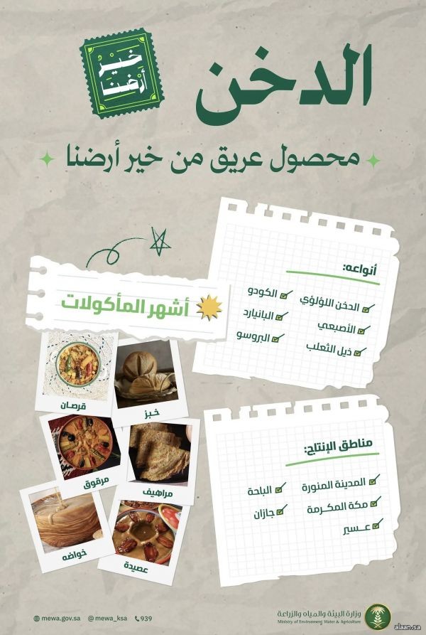 خير أرضنا ..  "البيئة": الدخن المحلي خيار استراتيجي لموائد رمضان ودعم الأمن الغذائي بالمملكة