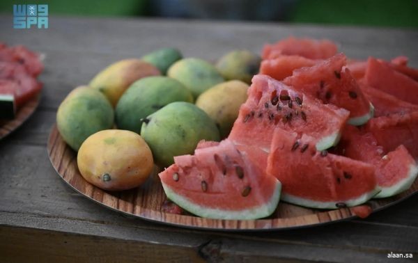 الحبحب في جازان .. إنتاج وفير يغطي الأسواق ويزيّن المائدة الرمضانية بجودته وقيمته الغذائية