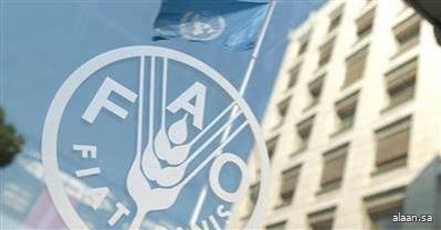 منظمة "فاو" : أسعار الغذاء العالمية ترتفع في فبراير