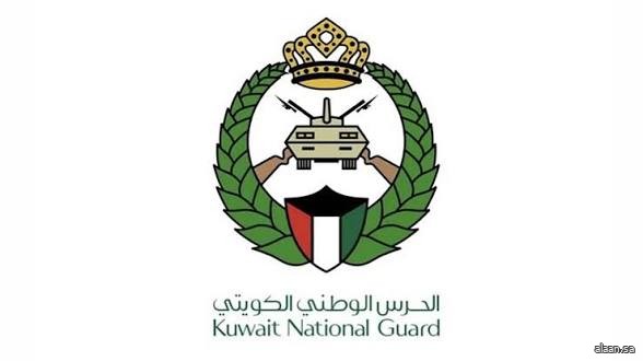 الكويت تعلن إسقاط طائرتي "درون"