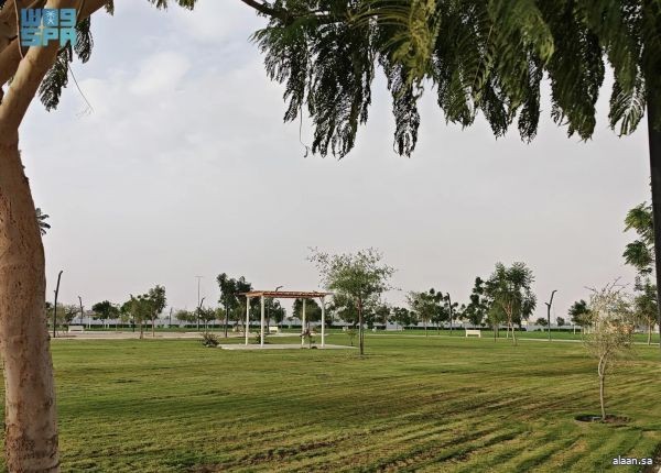 حديقة الأمير تركي بن هذلول بنجران.. واحة بيئية وترفيهية تجذب الزوَّار والمتنزّهين