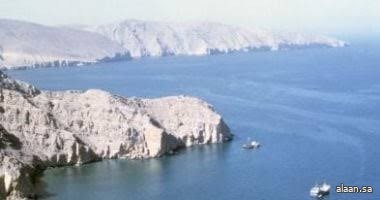 WSJ : إيران ستسمح بعبور ما لا يزيد عن عشر سفن يوميا عبر مضيق هرمز