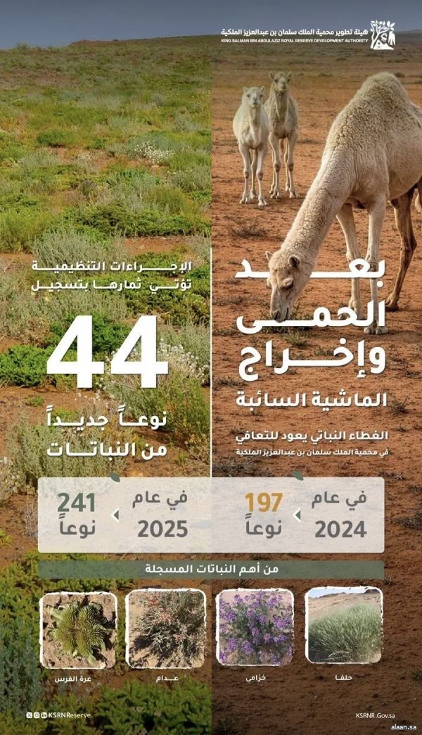 الجهود التنظيمية في محمية الملك سلمان بن عبد العزيز الملكية تقود تحولًا نوعيًا في استدامة البيئة وازدياد الأنواع النباتية في المحمية