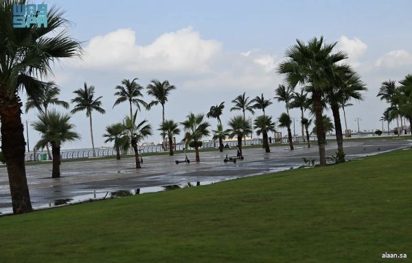 واجهة المانجروف بمدينة جيزان.. أيقونة ساحلية جديدة تُعزِّز جاذبية جازان السياحية