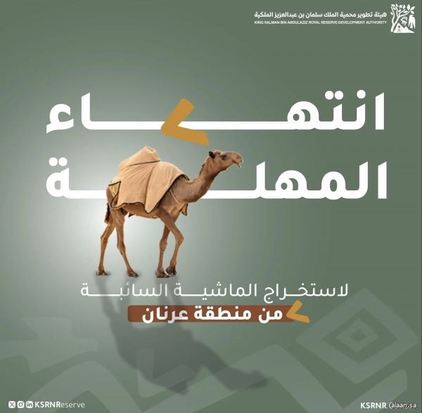 محمية الملك سلمان بن عبدالعزيز الملكية تعلن انتهاء مهلة إخراج المواشي السائبة في "عرنان" والبدء بتطبيق الإجراءات النظامية