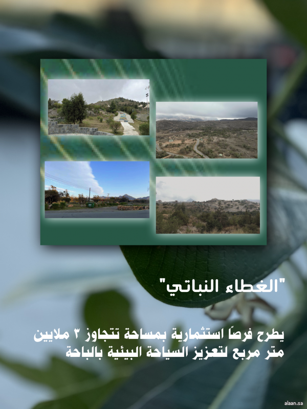 "الغطاء النباتي" يطرح فرصًا استثمارية بمساحة تتجاوز 3 ملايين متر مربع لتعزيز السياحة البيئية بالباحة
