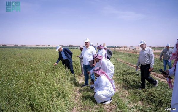 "استدامة" تُنظّم يومًا حقليًا بعنوان "الأعلاف الموسمية: إنتاجية المحاصيل والتطبيقات الحقلية" بمحافظة الدلم