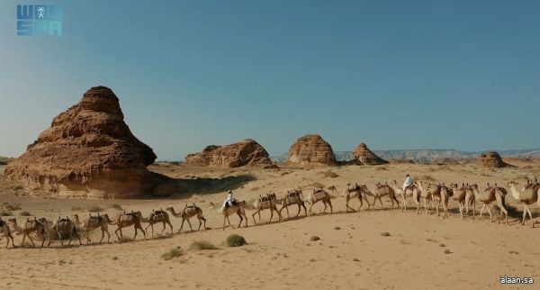 طريق الحج الشامي قديمًا.. رحلة إيمانية بين مسارات ومحطات متنوعة