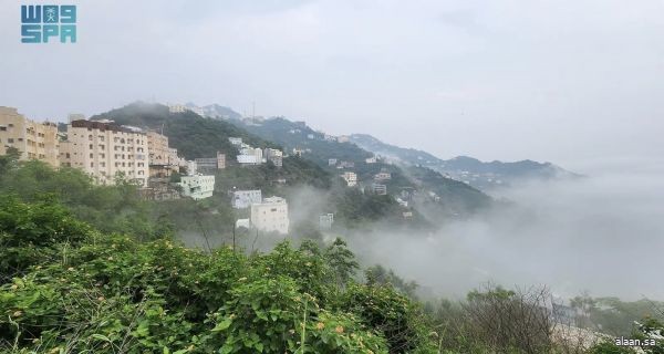 محافظة فيفا .. بانوراما طبيعية آسرة تُزيِّن قمم جبال جازان